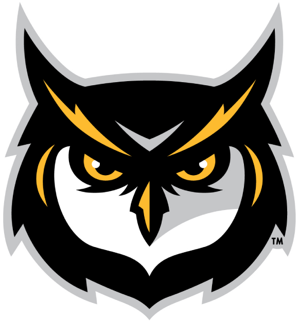 Kennesaw State Owls 2012-Pres Alternate Logo 02 iron on paper